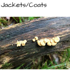 🍄 𝙅𝙖𝙘𝙠𝙚𝙩𝙨/𝘾𝙤𝙖𝙩𝙨